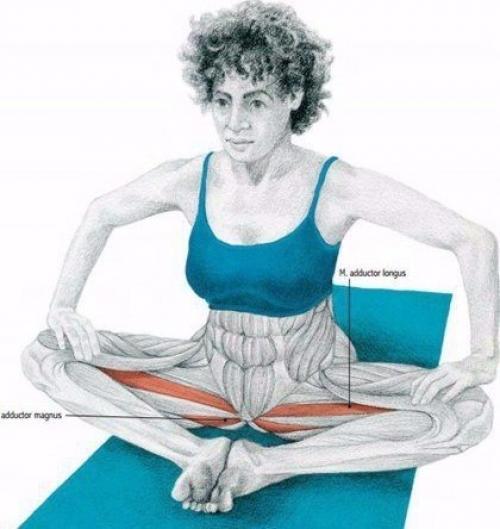 Растяжка мышц до и после тренировки. 09