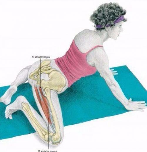 Растяжка мышц до и после тренировки. 04