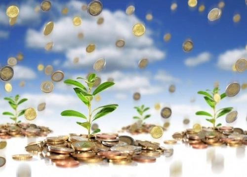 Денежные растения: как привлечь в дом достаток? 

