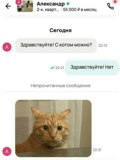 В cети завирусился диалог между арендодателем и потенциальным жильцом.  