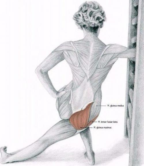 Растяжка мышц до и после тренировки. 01