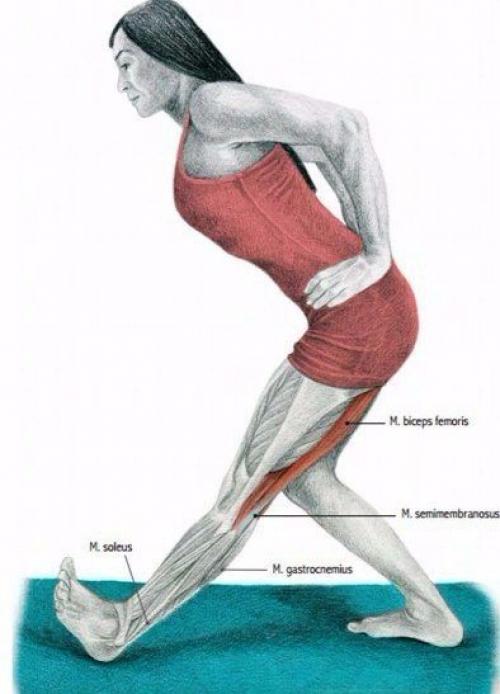 Растяжка мышц до и после тренировки. 06