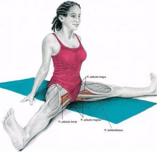 Растяжка мышц до и после тренировки. 02