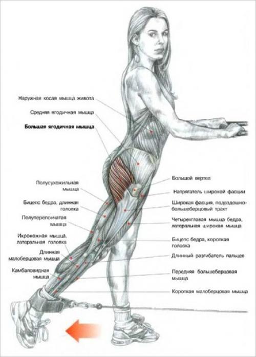 Секреты тренировки ягодиц. 02