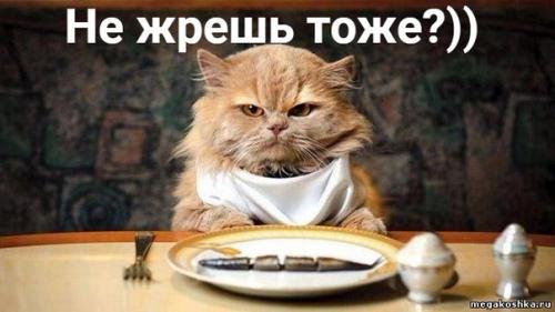 И все таки уже вторая половина зимы настала, перевалили мы ближе к весне.