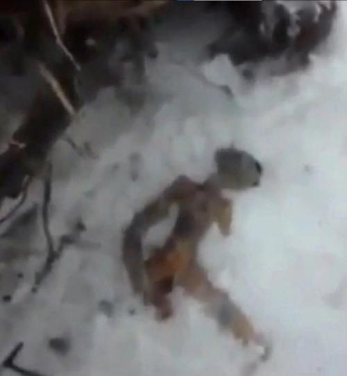 В Комсомольске на Амуре двое мужиков нашли тело пришельца. 01