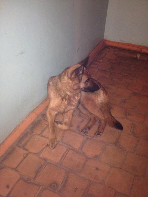 Админ пожалуйста опубликуй. 01