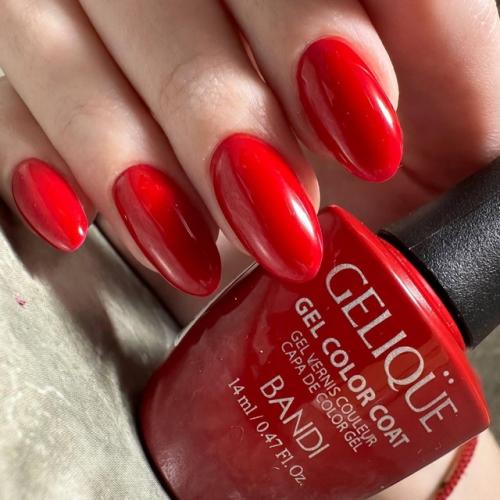 Здравствуйте, дорогие дамы! 01 Здравствуйте, дорогие дамы! 01