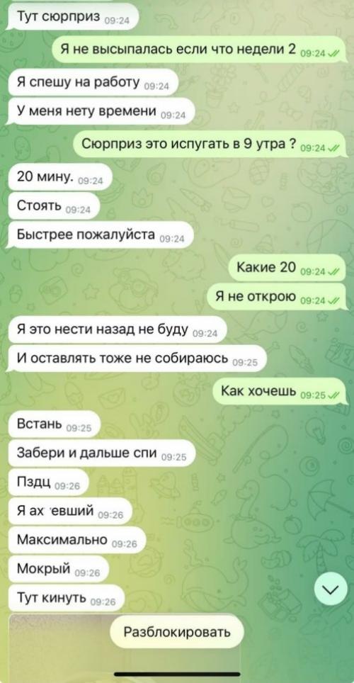 Вставай, я тебя радовать пришёл. 02