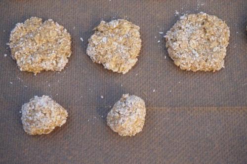 Печенье Овсяная Классика. 08 Печенье Овсяная Классика. 08