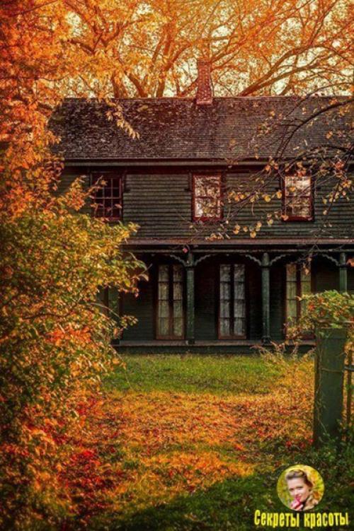 А осенью, как будто невзначай, в сады придёт морозная прохлада, я буду чаще пить горячий чай, любуясь апогеем листопада.