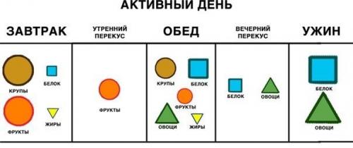 Модель трудовой деятельности детей в течении дня возраст по выбору по предложенной схеме