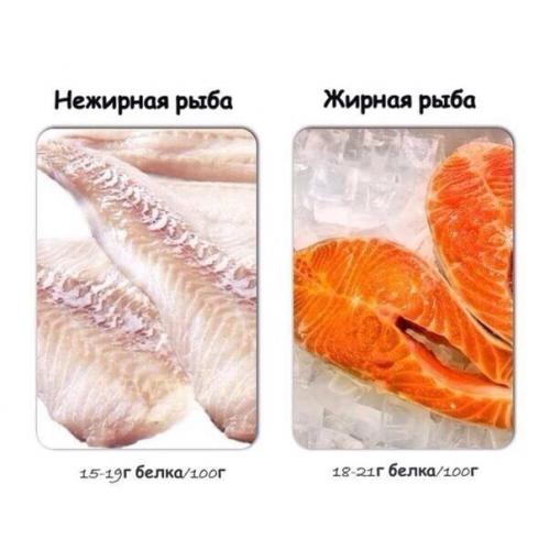 Содержание белка в распространенных продуктах. 05