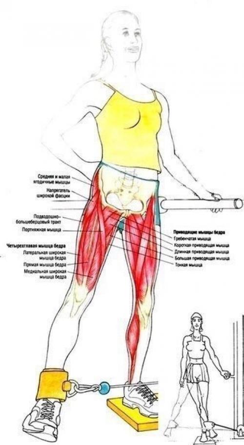 Упражнения для ягодиц и ног. 01 Упражнения для ягодиц и ног. 01