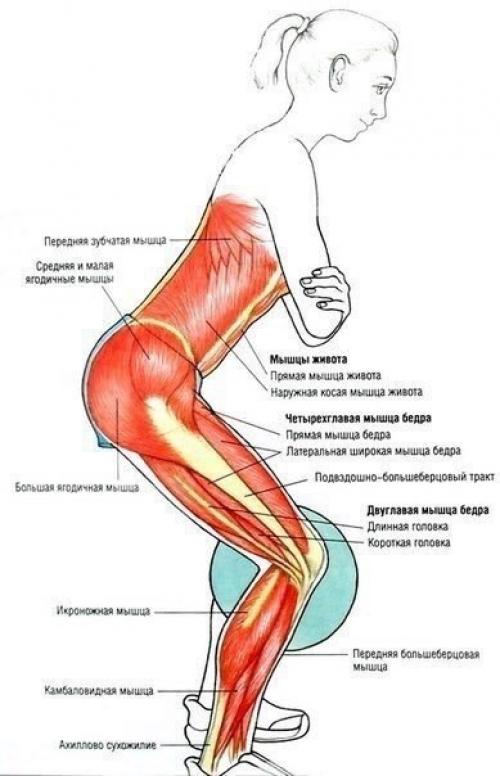 Упражнения для ягодиц и ног. 05 Упражнения для ягодиц и ног. 05
