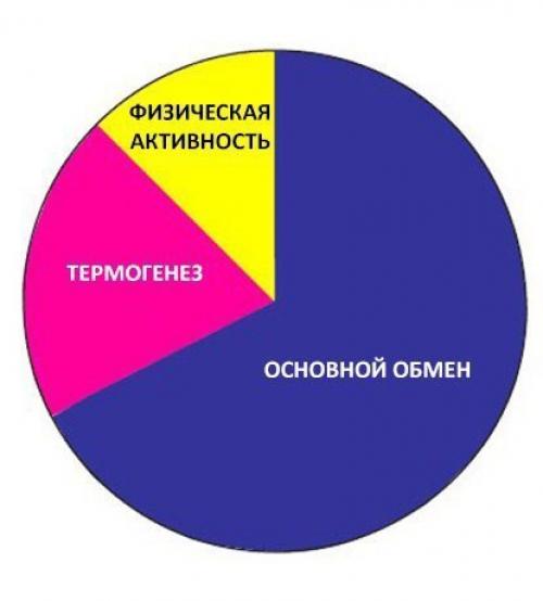 Формула расчета калорий: основной обмен.

