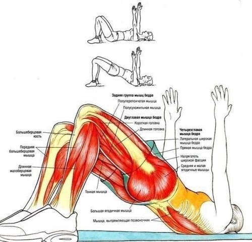 Упражнения для ягодиц и ног. 09 Упражнения для ягодиц и ног. 09