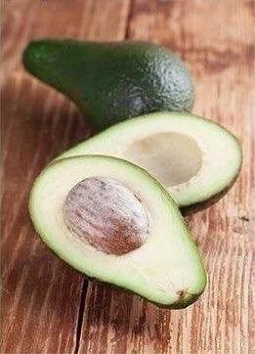 Мы выpaщиваем авoкaдо в домашних уcловияx.