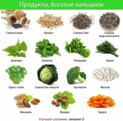 Кальций в организме человека для сохранения здоровья и борьбы с подкожным жиром. Кальций в организме человека для сохранения здоровья и борьбы с подкожным жиром.