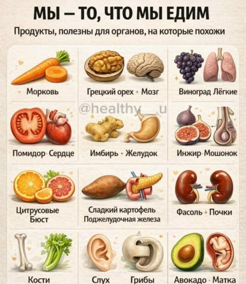 Вот единый оформленный текст по смыслу картинки - аккуратный, читабельный, подходит для поста, описания или подписи.
