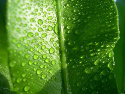 Советы на каждый день. Советы на каждый день.