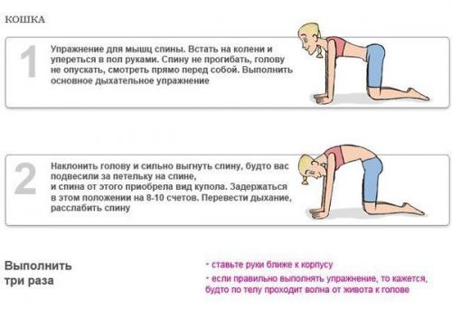 Дыхательная гимнастика бодифлекс - комплекс упражнений для похудения. 08 Дыхательная гимнастика бодифлекс - комплекс упражнений для похудения. 08