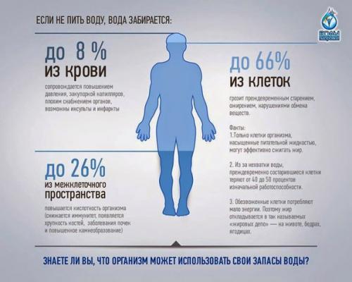 Что будет, если не пить воду? Что будет, если не пить воду?