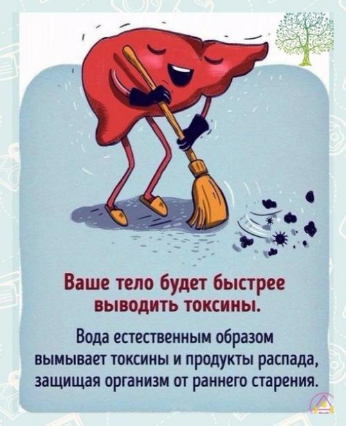 Пейте больше воды, чтобы поддерживать здоровье организма. 01