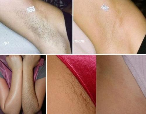 Чем подкармливать комнатные растения? 

