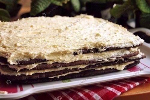 Торт Спартак.   Торт Спартак - это медовик с заварным кремом и шоколадными медовыми коржами. 05