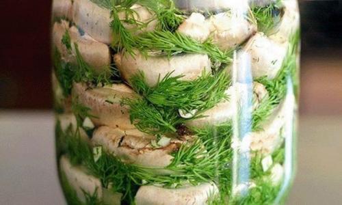 Малосольные шампиньоны. 

Хотите порадовать и удивить гостей чем-то необычным и вкусным!  