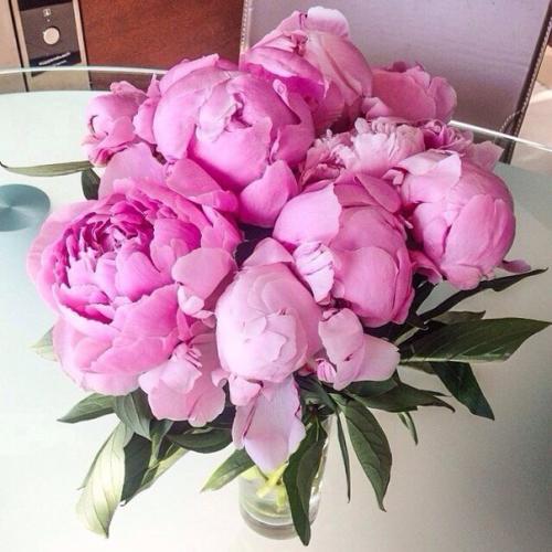 Никогда не нужно слушать, что говорят цветы. 03