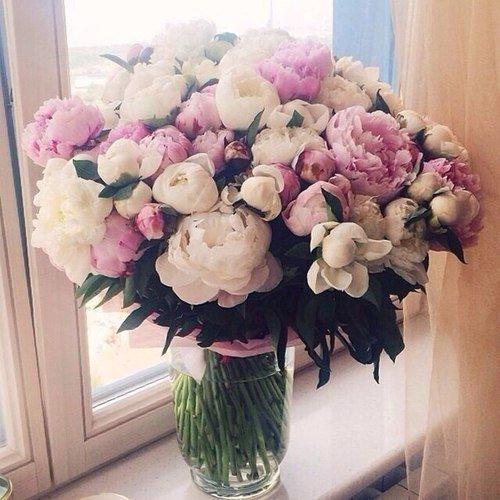 Никогда не нужно слушать, что говорят цветы. 02