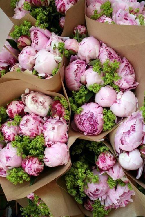 Никогда не нужно слушать, что говорят цветы. 04