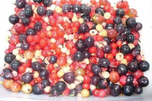 Маффины на Кефире со Смородинойчудо - ягода. 01 Маффины на Кефире со Смородинойчудо - ягода. 01