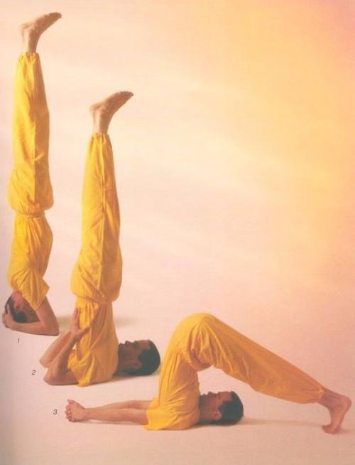 Практика асан: основной комплекс. 01