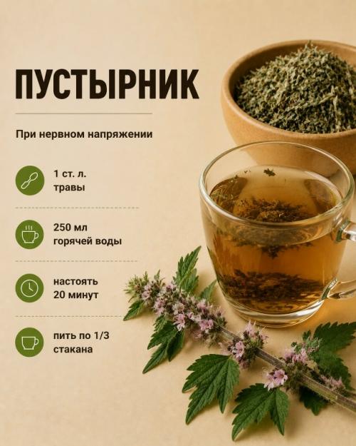 Семена укропа. Содержат эфирные масла и природные соединения, благодаря которым их давно используют для приготовления домашних настоев. 07