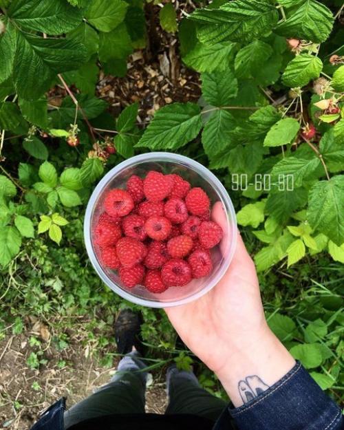 Лучшие продукты для женского здоровья.