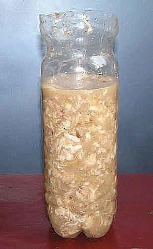 Куриный Рулет в бутылке. 04