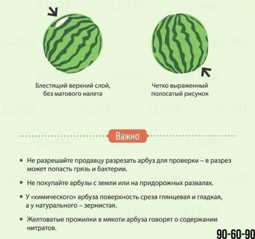 Мы выбираем правильно арбуз и дыню. 03