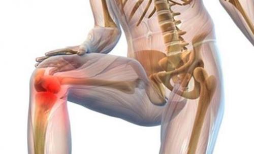 Всё о коллагене и его помощи суставам и связкам.

