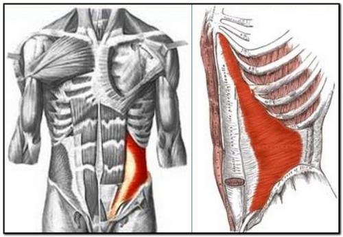 Плоский живот.   Хочу предложить вам отдельный цикл действий, который помогает сделать наш живот плоским.