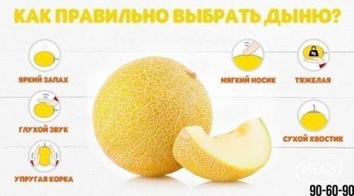 Мы выбираем правильно арбуз и дыню.