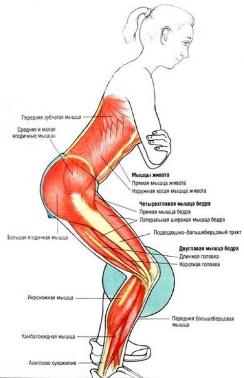 Упражнения для ягодиц и ног? 05 Упражнения для ягодиц и ног? 05