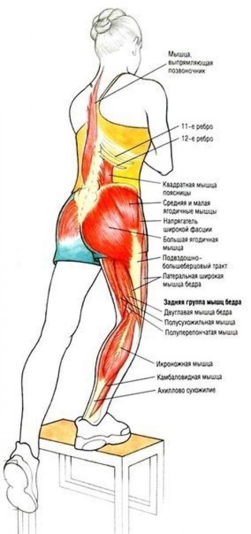 Упражнения для ягодиц и ног? 07 Упражнения для ягодиц и ног? 07