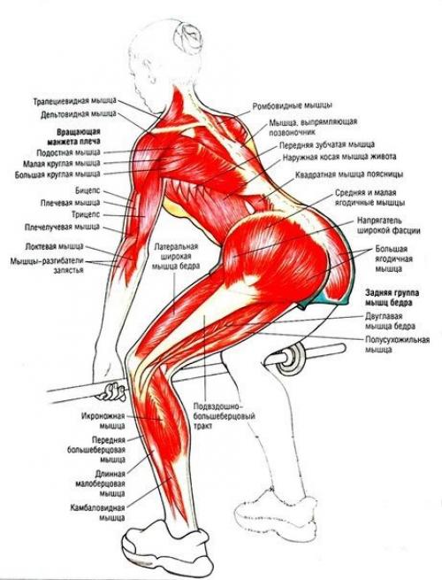 Упражнения для ягодиц и ног? 08 Упражнения для ягодиц и ног? 08