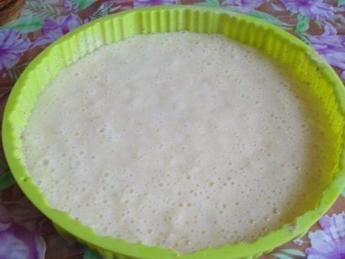 Манник лимонный.  Вы не любите кошек? 04