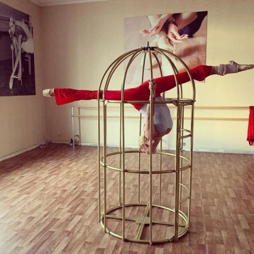 Анастасия волочкова молодец. 02