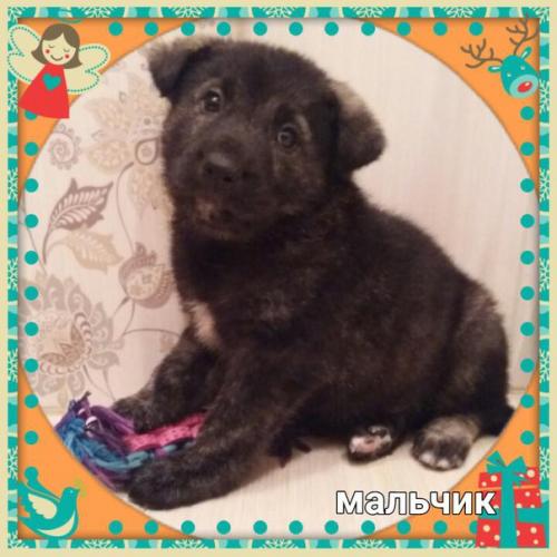 Люди добрые! Не будьте равнодушными! 02 Люди добрые! Не будьте равнодушными! 02