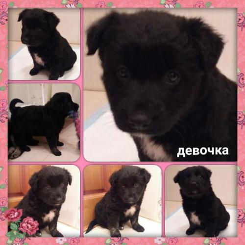 Люди добрые! Не будьте равнодушными! 01 Люди добрые! Не будьте равнодушными! 01